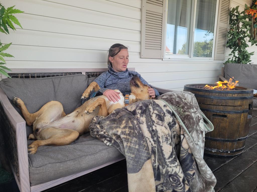 Cinnamon, a female, 3 year old Boxer dog, available for adoption in Central Alberta.