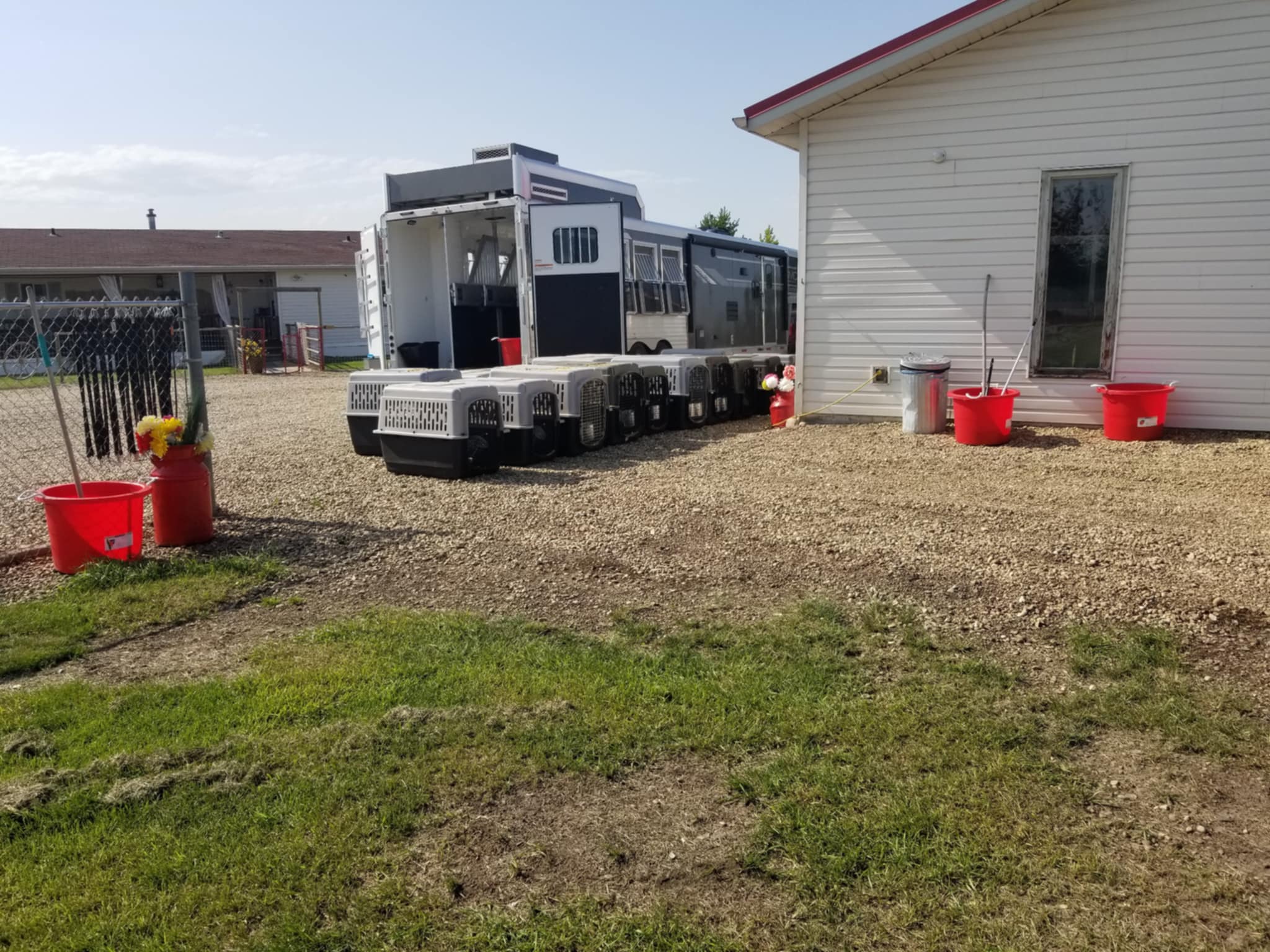 Mobile dog adoption center in Alberta, bringing animal adoption to all of Central Alberta
