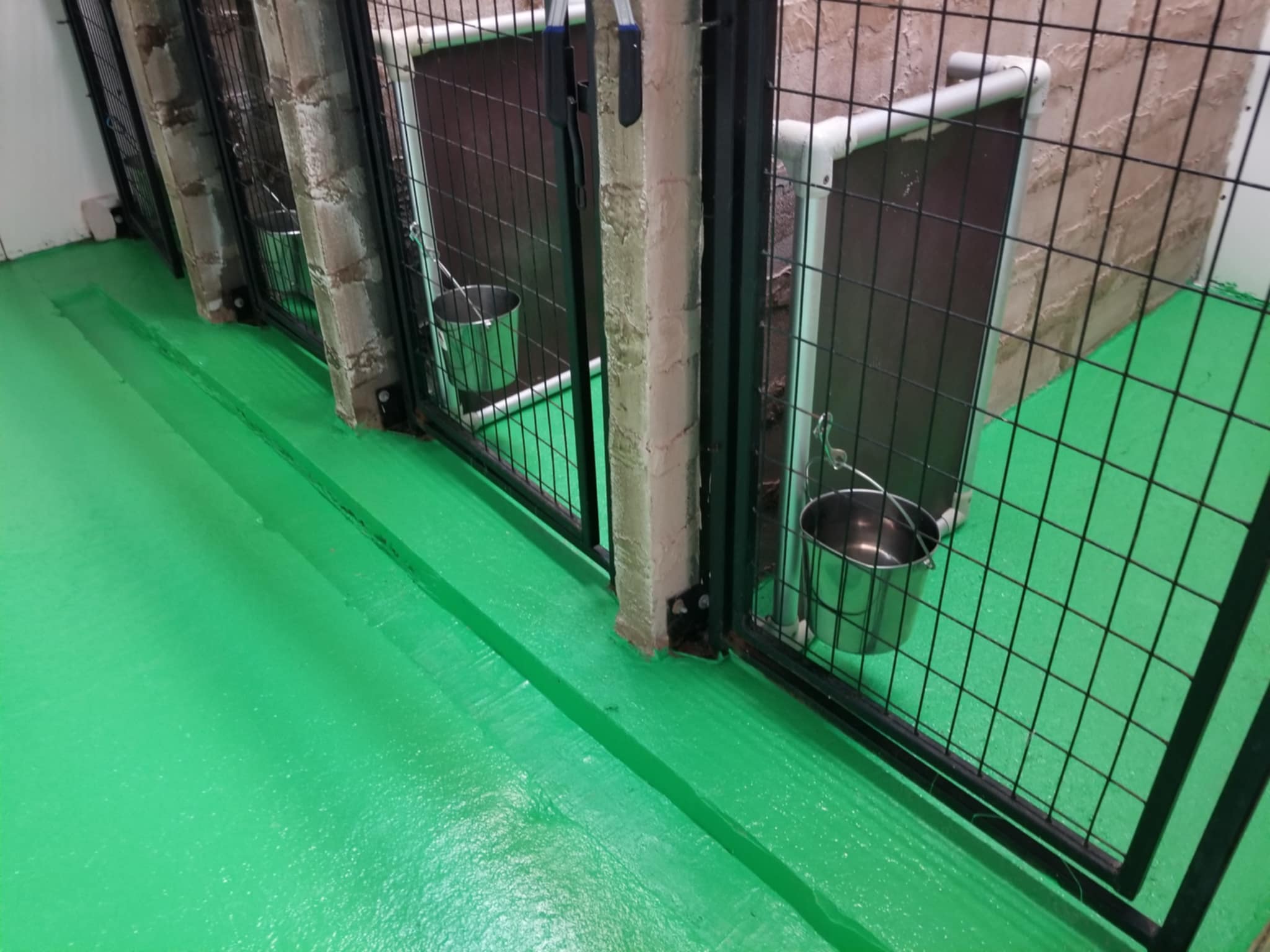 New floors in dog adoption kennel in Lacombe, Alberta