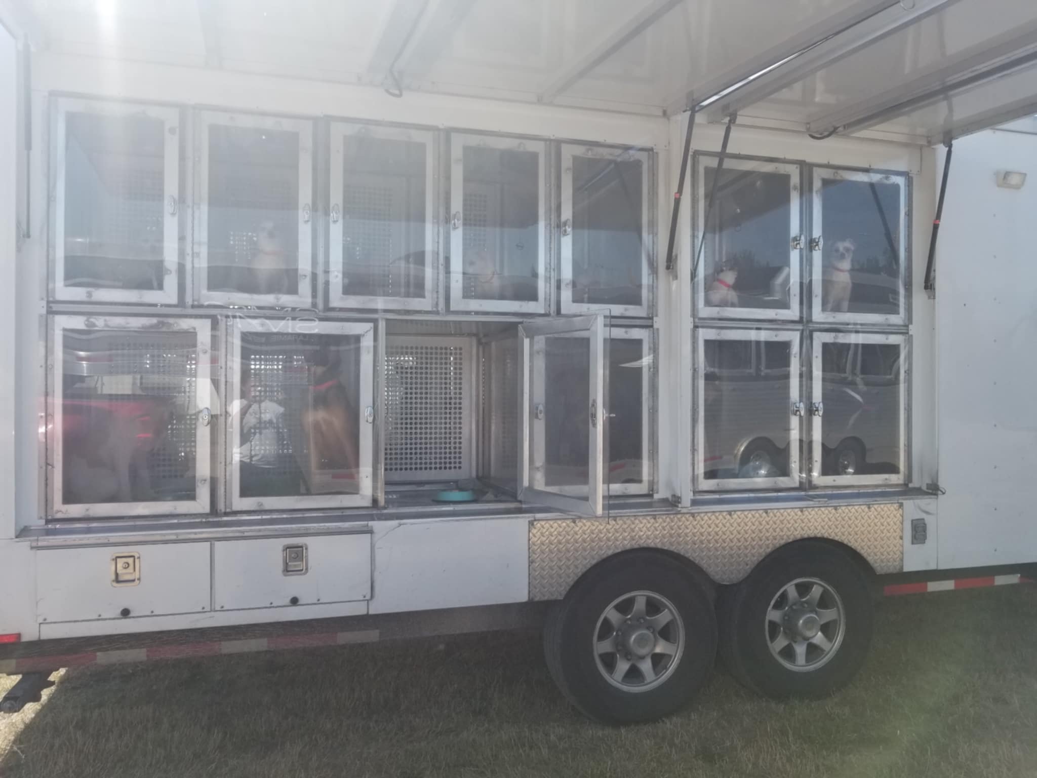 Mobile dog adoption center in Alberta, bringing animal adoption to all of Central Alberta