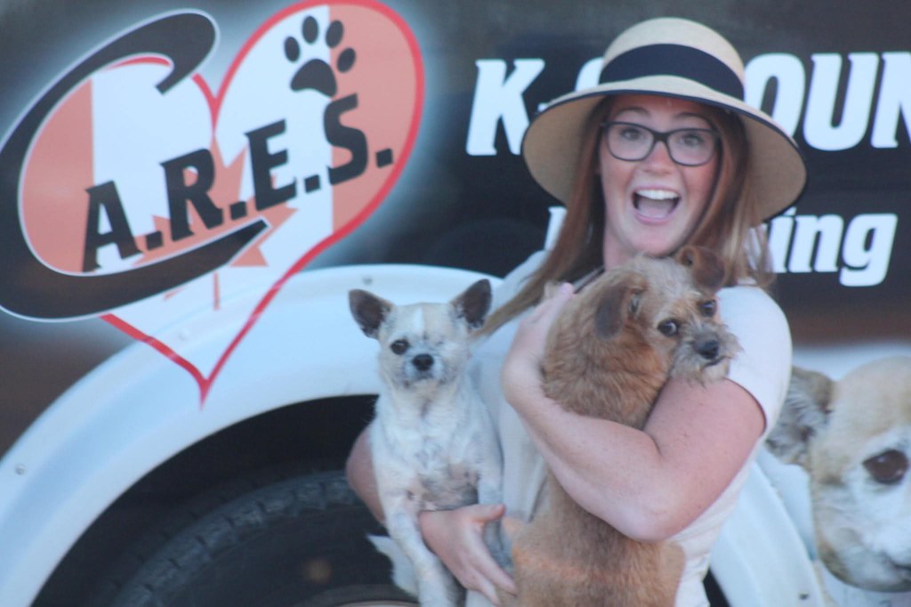 Two adoptable dogs at a mobile adoption event in Alberta