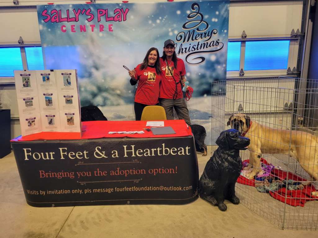 Adoption Event at Sally's Play Centre in Alberta